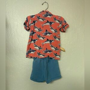 $29 ADD ON bums & roses boys' set shark matching set 3Y Zara Mini Boden Baby Gap